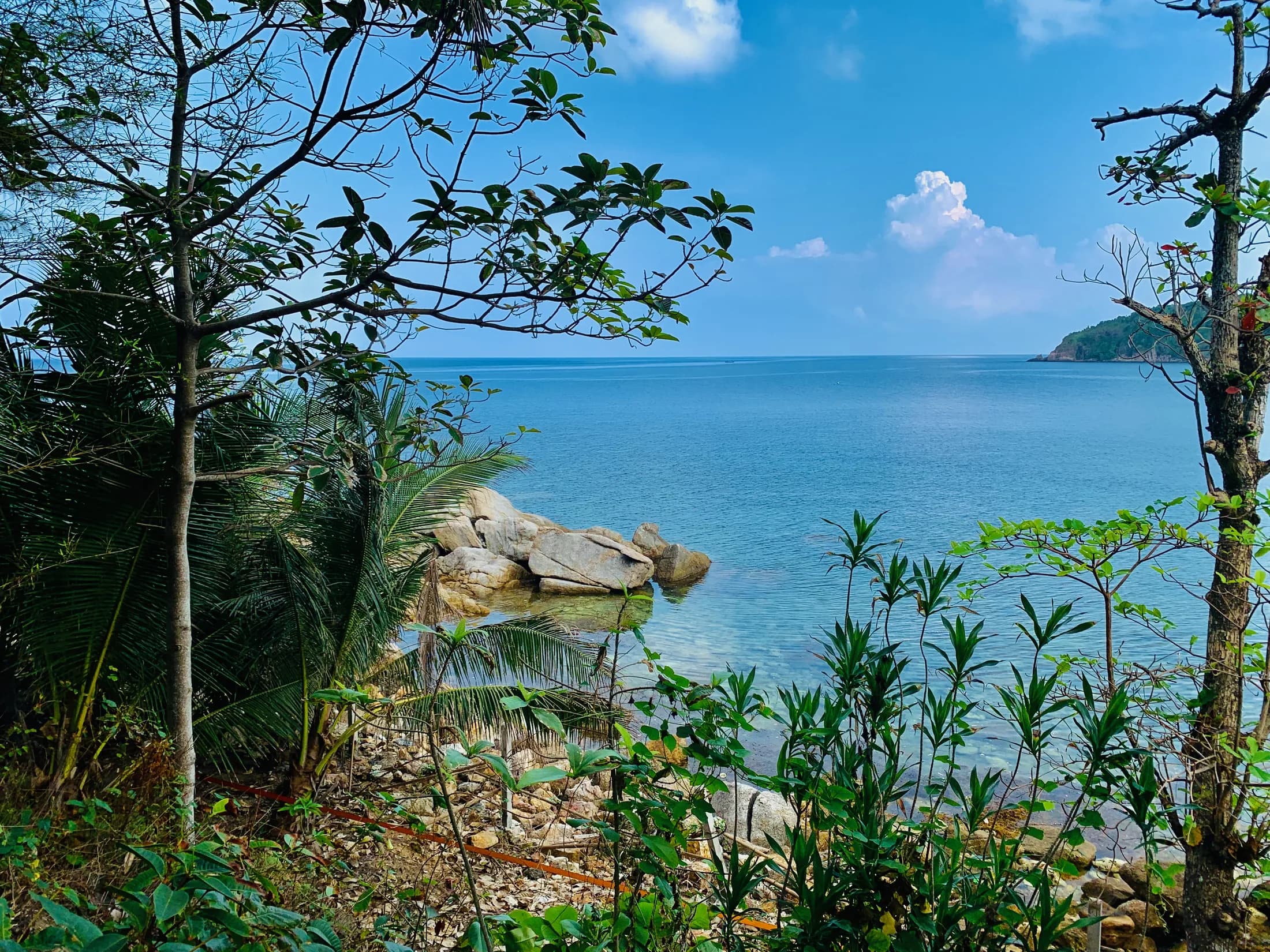 Sea view through tropical trees from the Haad Salad beachfront land