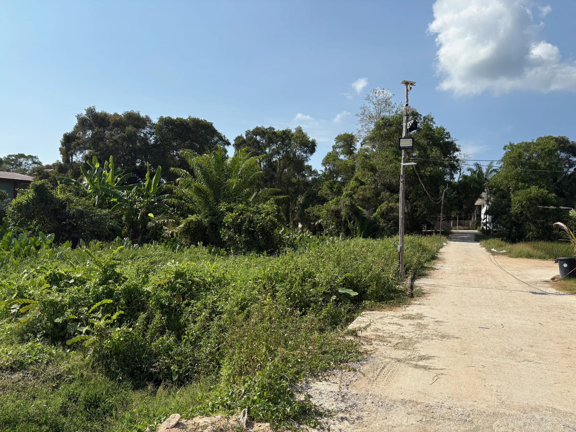 Access track and open green development land in Wok Tum, Koh Phangan