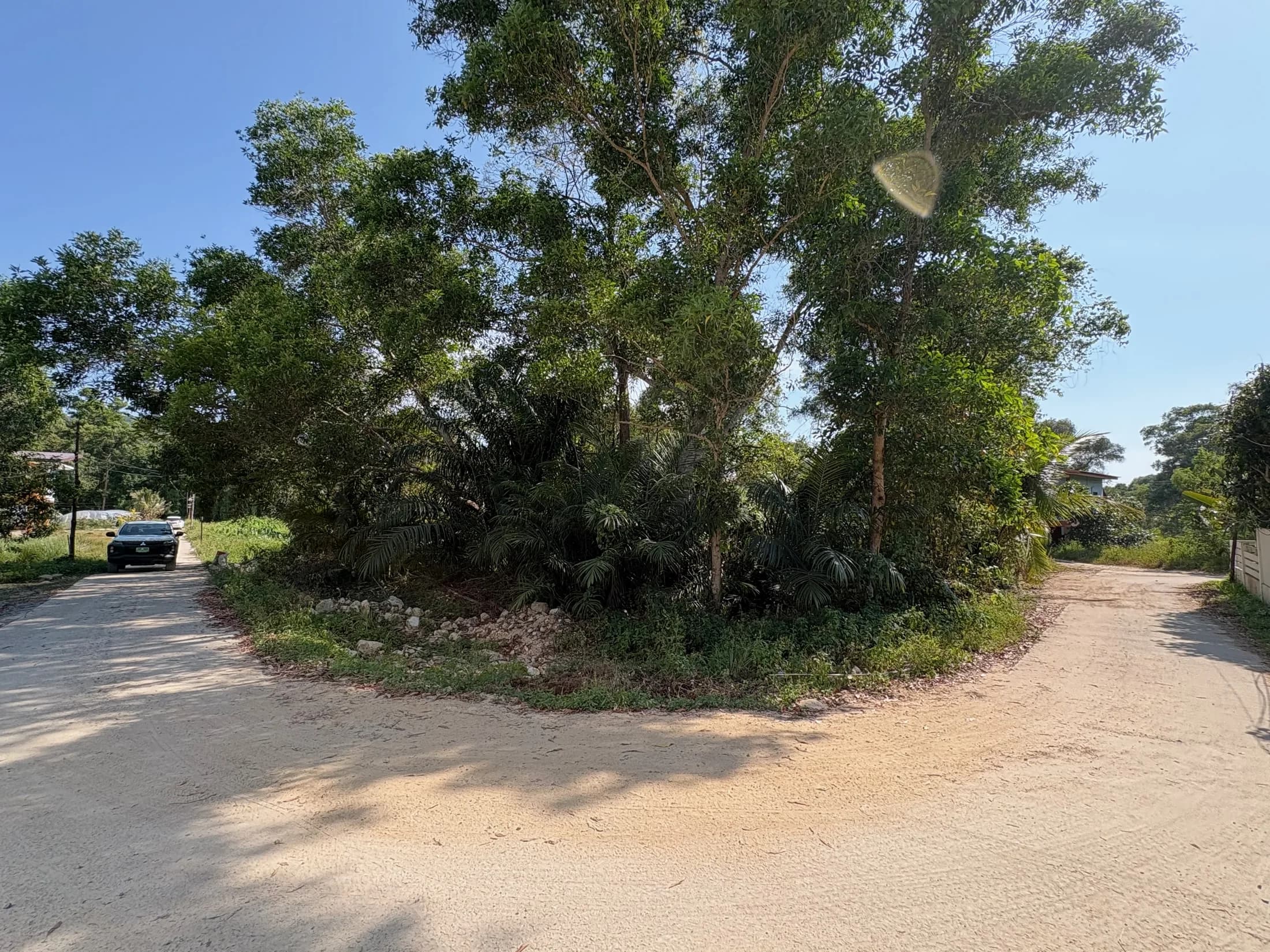 Road junction and mature trees by the Wok Tum development land
